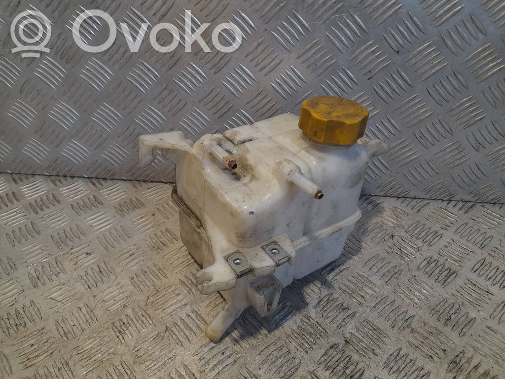 Opel Antara Aušinimo skysčio išsiplėtimo bakelis 