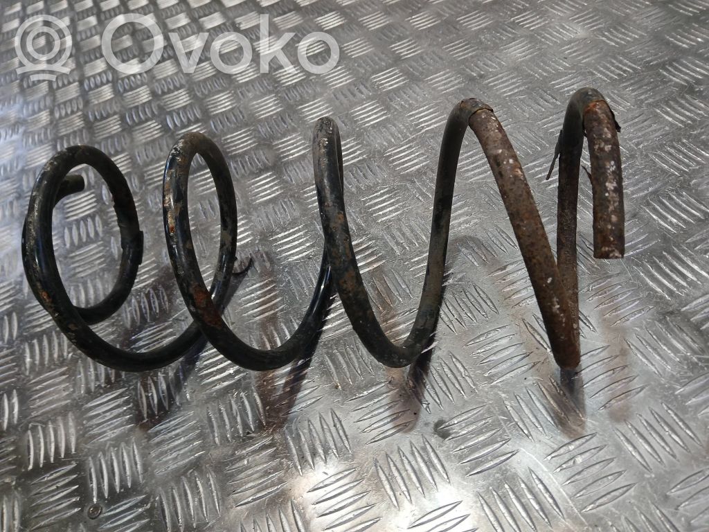 Rear coil spring