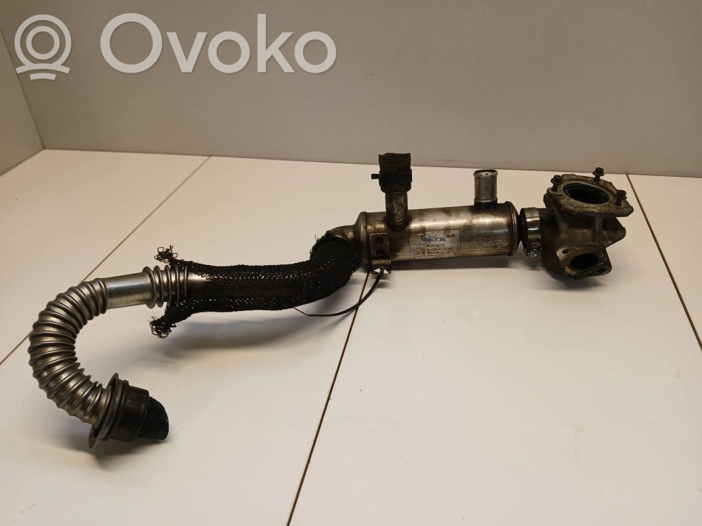 Ford Focus EGR aušintuvas 