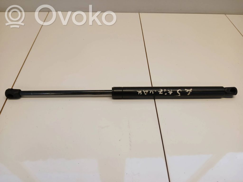 Tailgate/trunk strut/damper