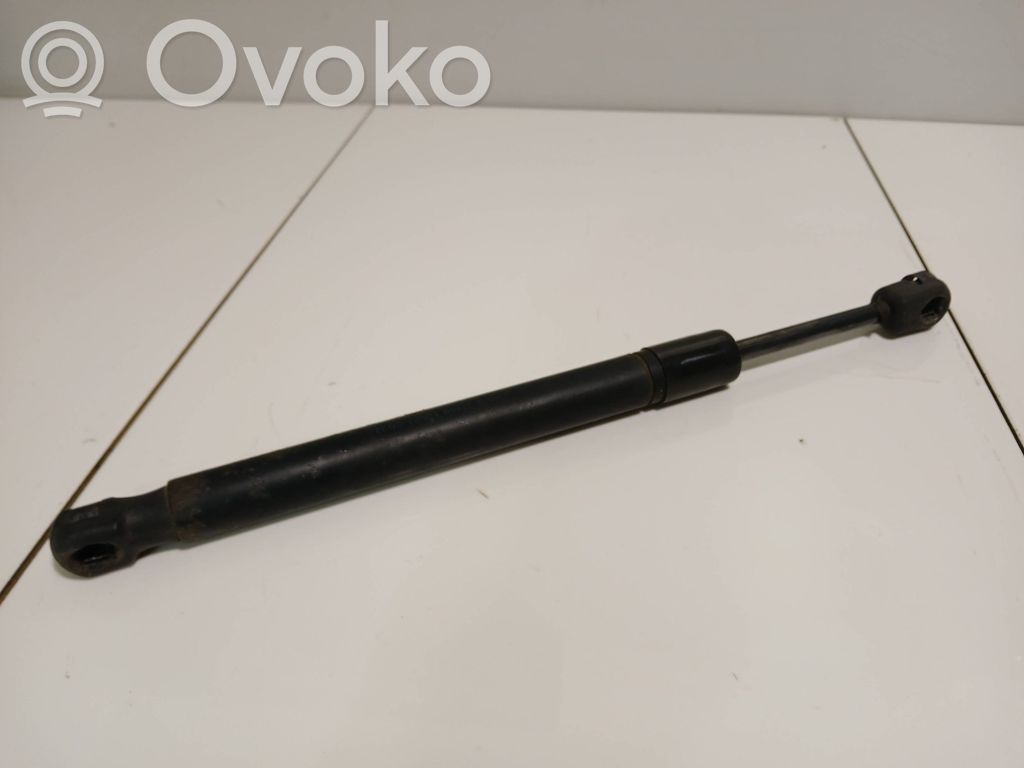 Tailgate/trunk strut/damper