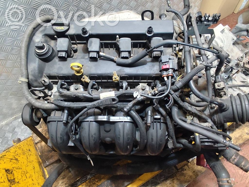 Engine   LF10498702
