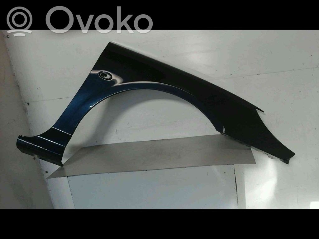 Peugeot 407 Fender 