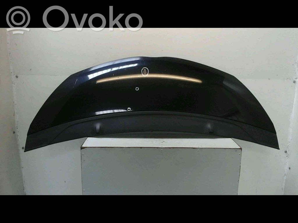 Toyota iQ Motorhaube 