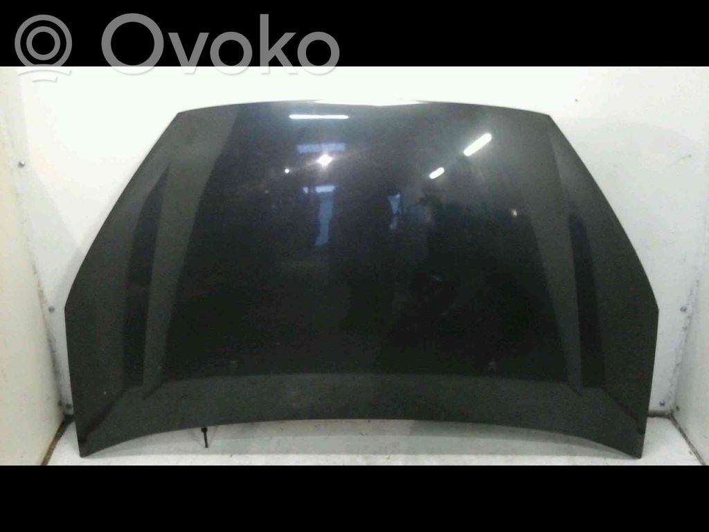 Engine bonnet/hood   1569486,20212178,3736979,VDMS7
