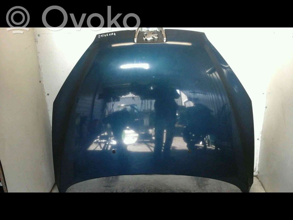Engine bonnet/hood   20242674,3747256,VDMS7