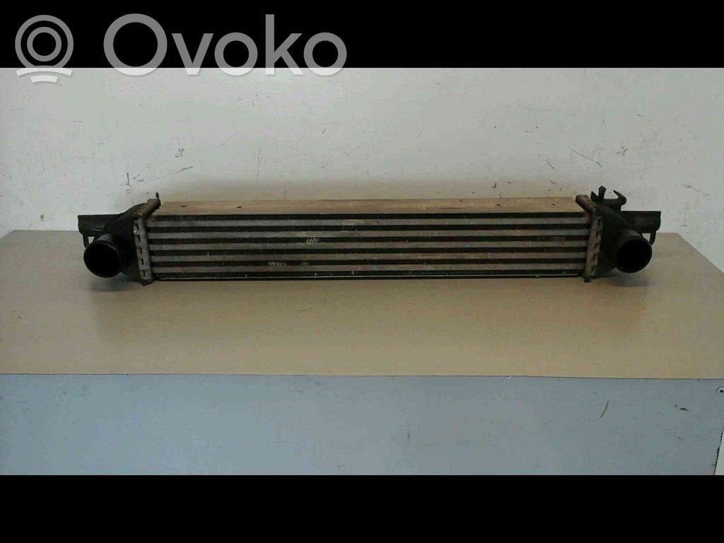 Citroen Nemo Interkūlerio radiatorius 