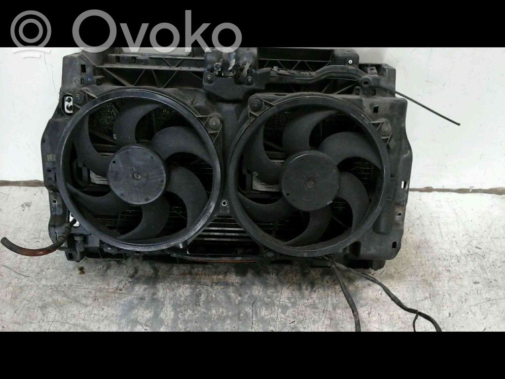 Peugeot 407 Radiator support slam panel 