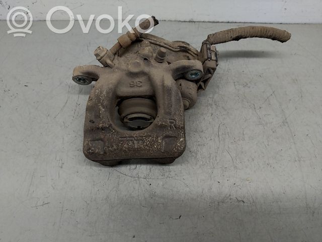 Takajarrusatula   440011959R,20242360,3864665,VDMS7