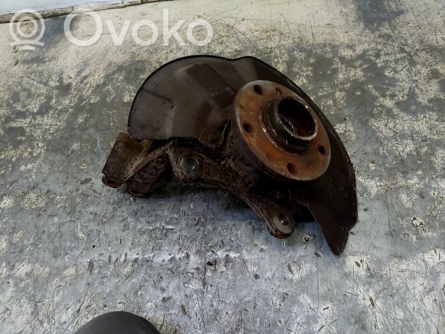Volkswagen Multivan T5 Priekšējā riteņa rumbas vārpstas šarnīrs (stupica, capfa) 