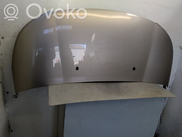 Konepelti   00007901Q7,20243248,4337610,VDMS7
