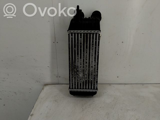 Interkūlerio radiatorius   0384K4,20253048,22160324,VDMS7