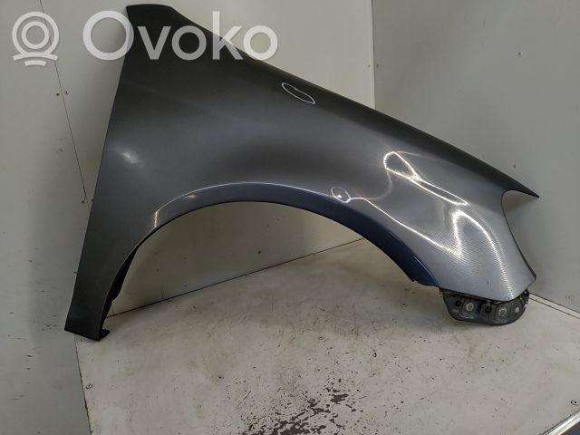 Guardabarro   1K9821022,20253188,21938081,VDMS7