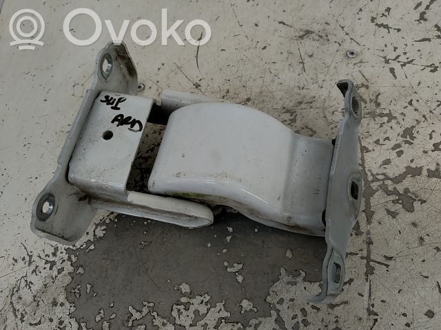 Loading door upper hinge   904005453R,20260222,30269172,VDMS7