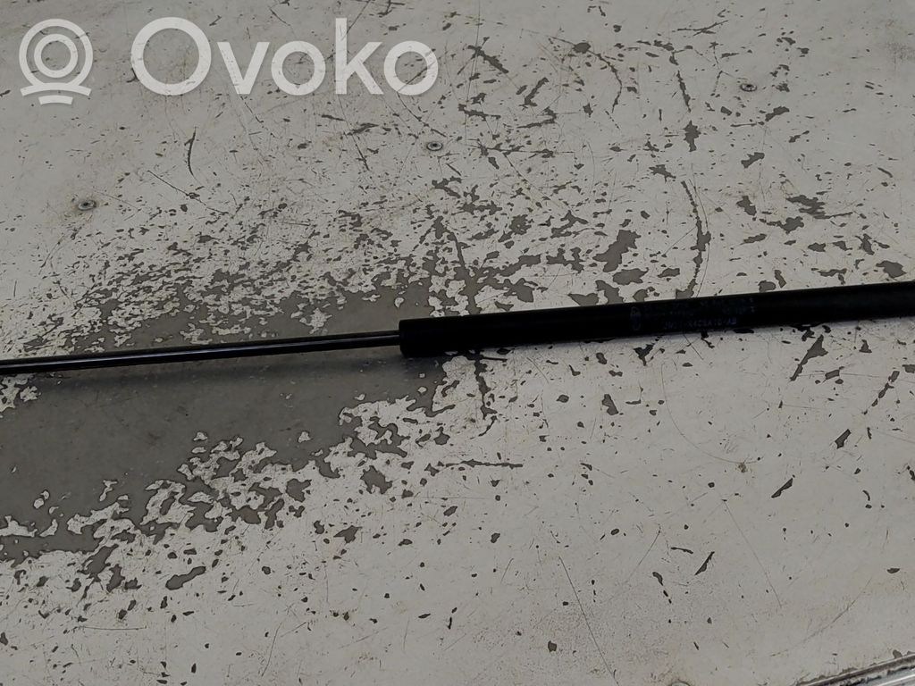 Tailgate/trunk strut/damper   1683725,20260576,32577002,VDMS7