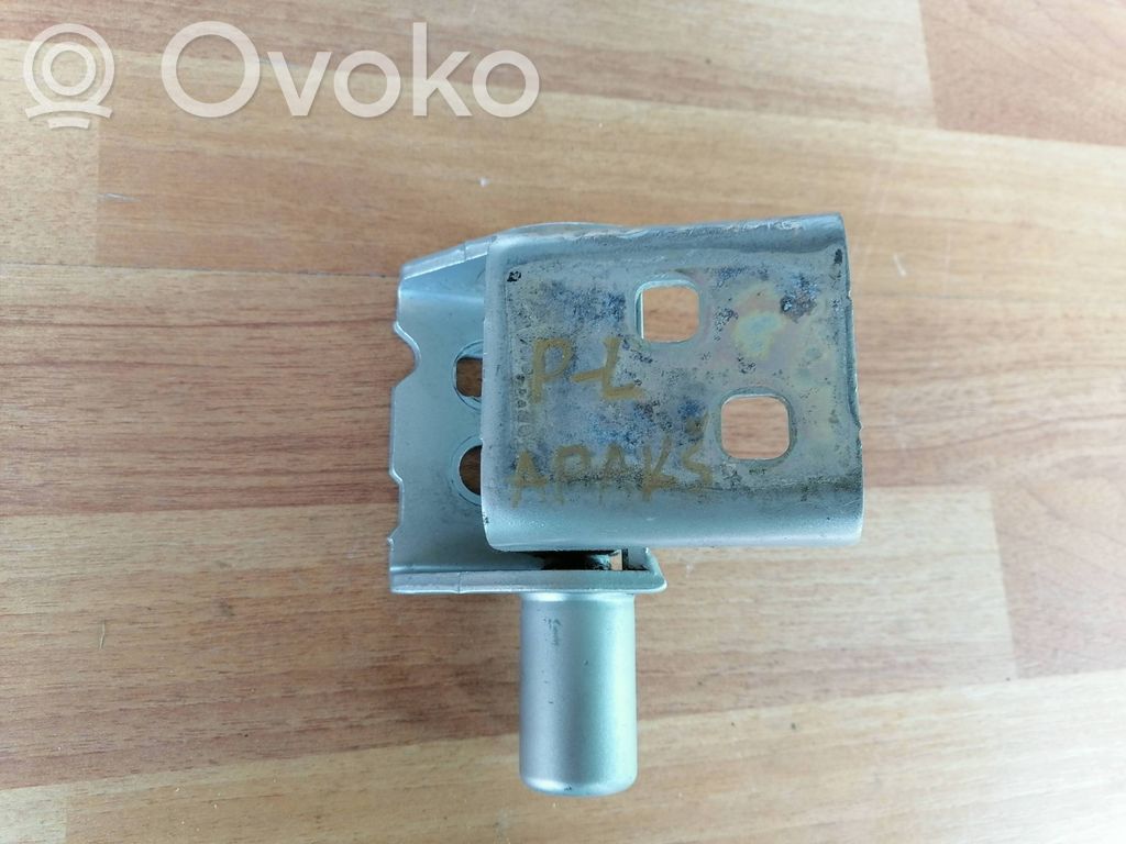 Renault Clio III Front door lower hinge 