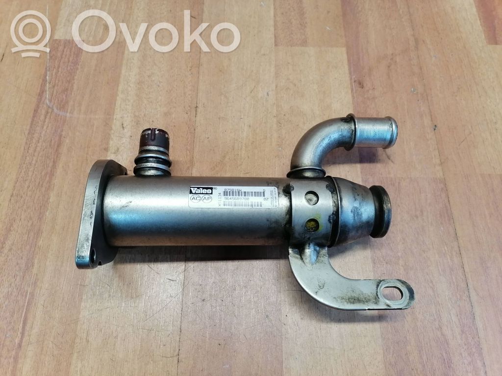 Peugeot 407 EGR aušintuvas 