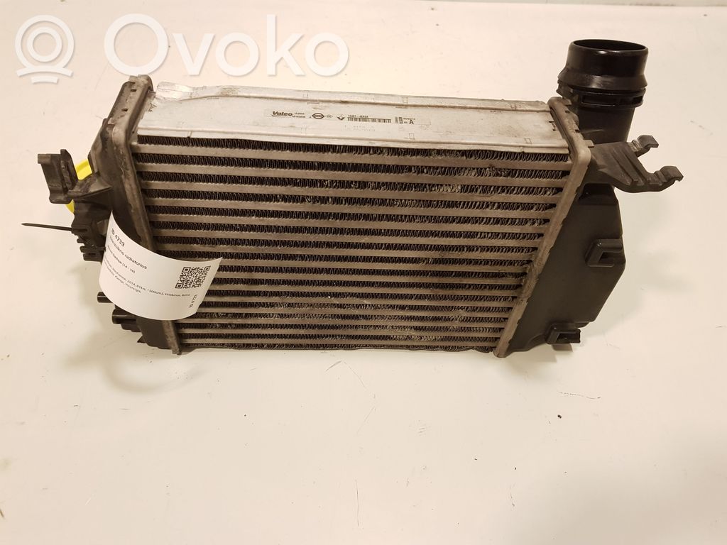 Nissan Qashqai Intercooler radiator 