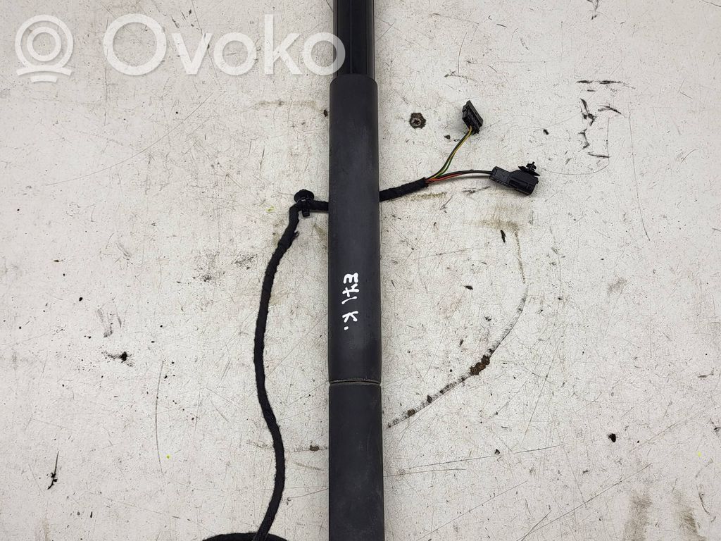 BMW X6 E71 Tailgate/trunk strut/damper 