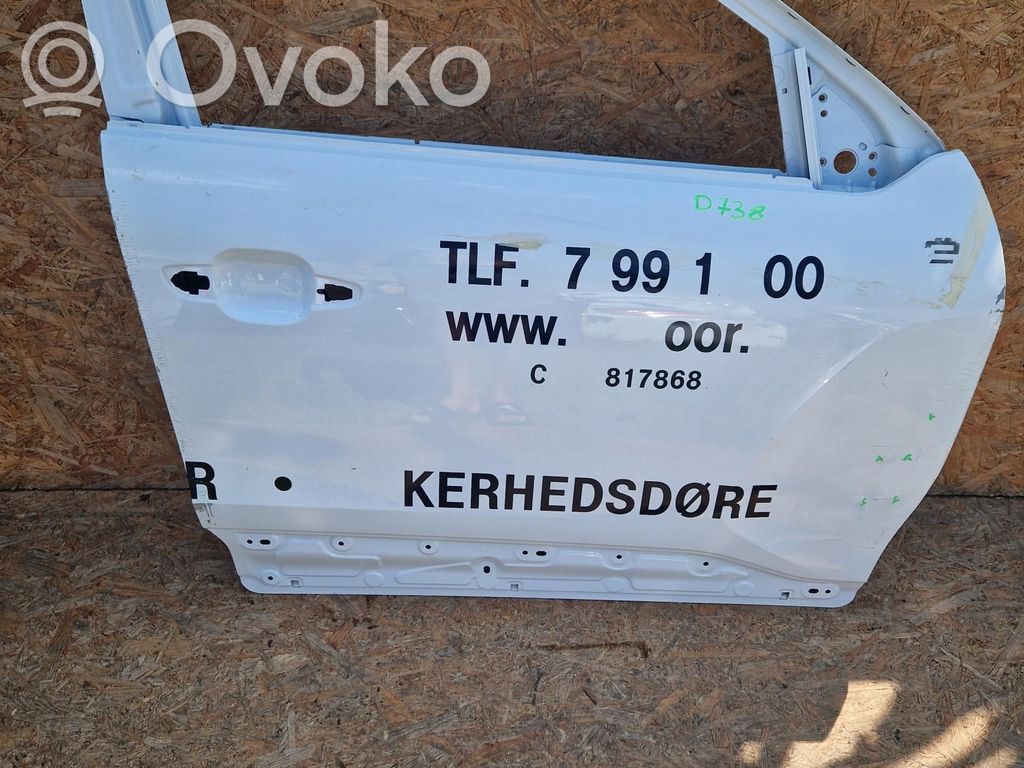 Front door   D738