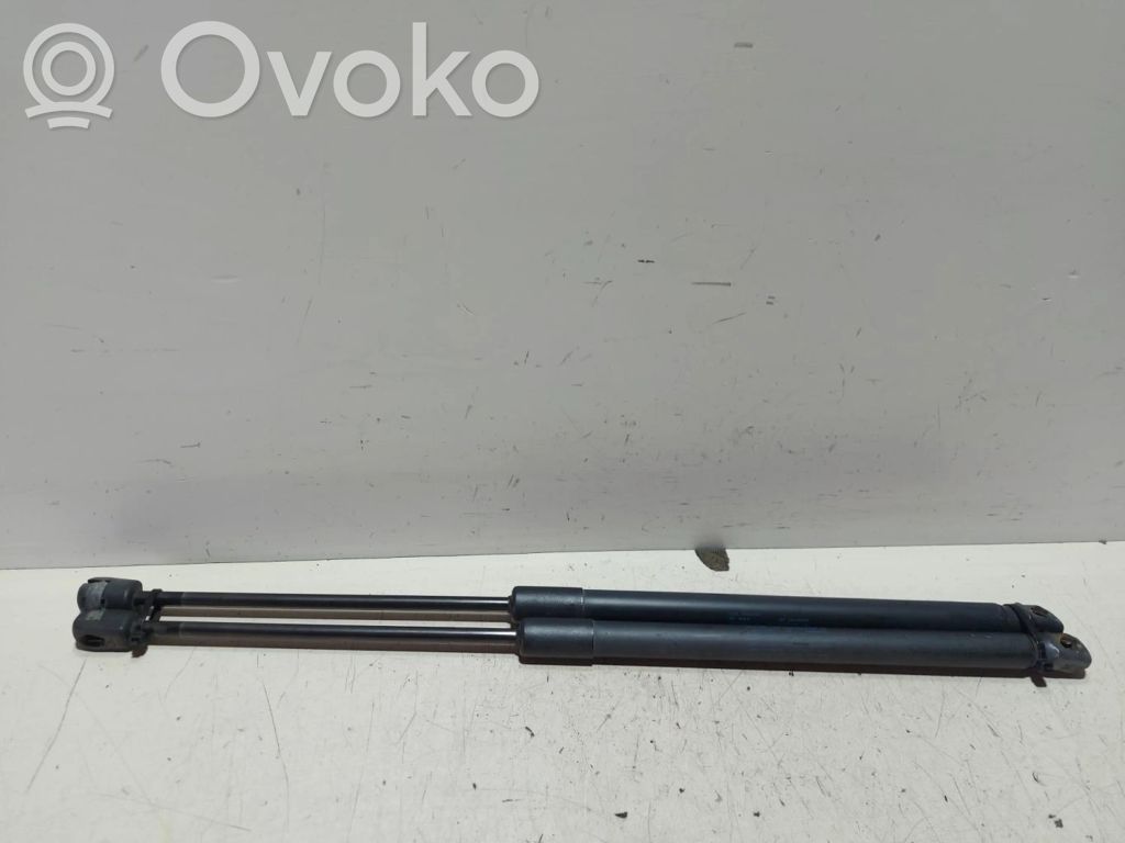 Tailgate/trunk strut/damper