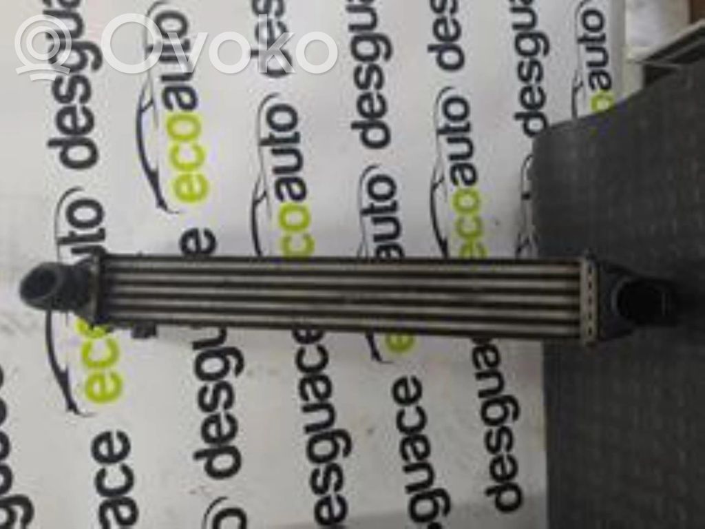 Radiador intercooler