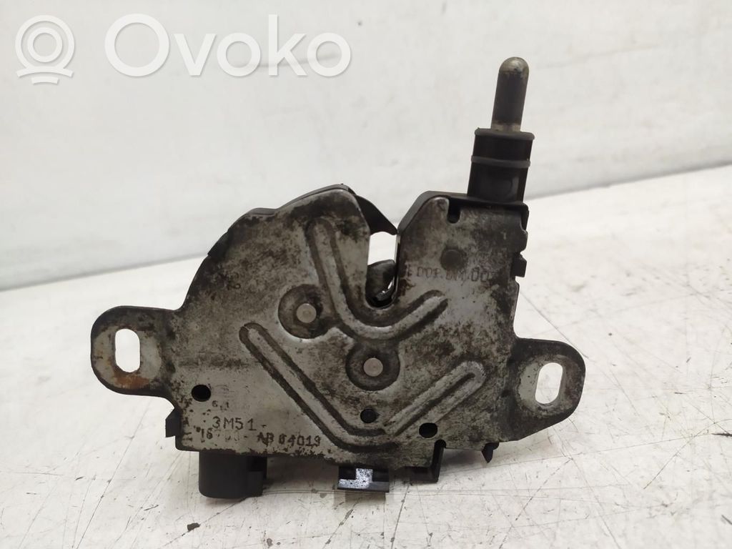 Tie down hook / loop   3M5116700AB