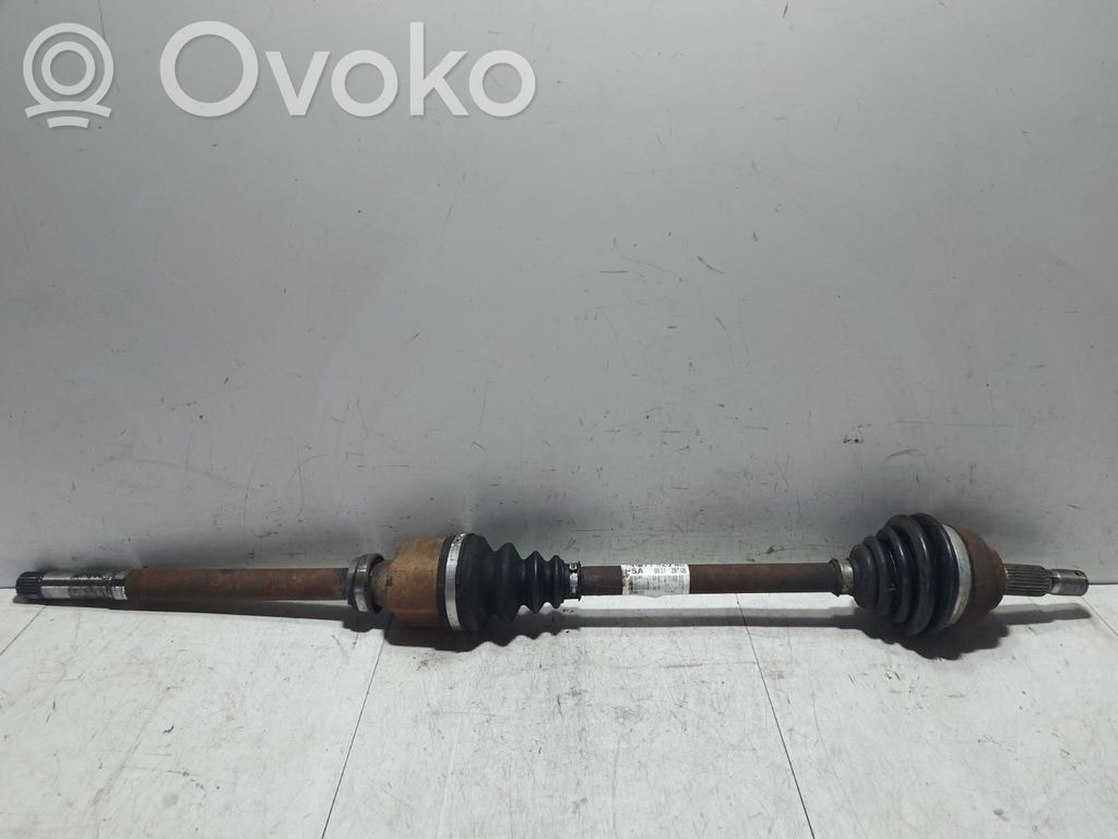 Drive shaft (set)   1497192080