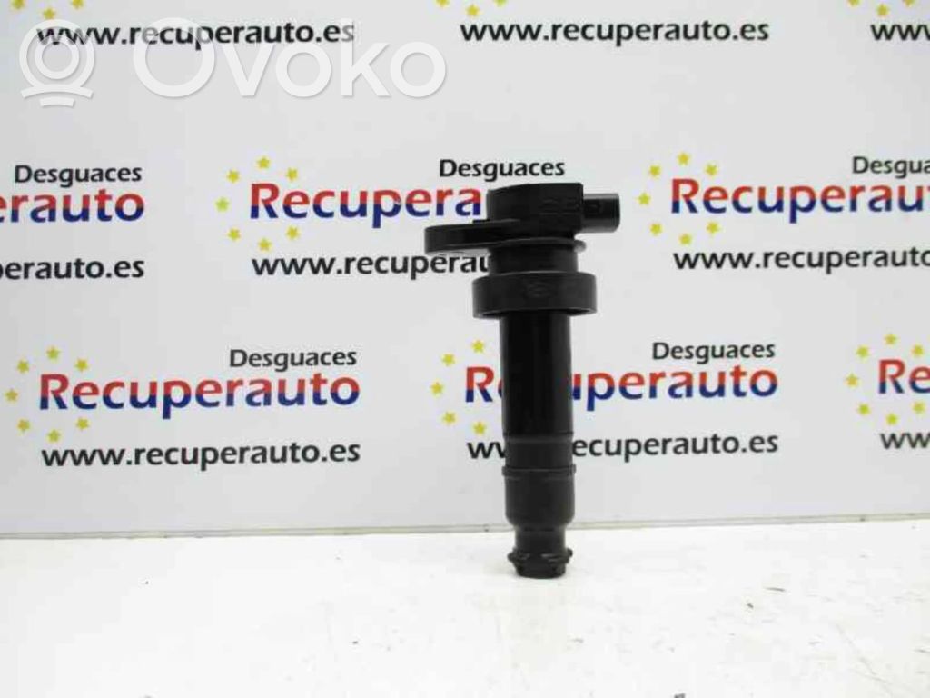 Bobina de encendido de alto voltaje   273012B010