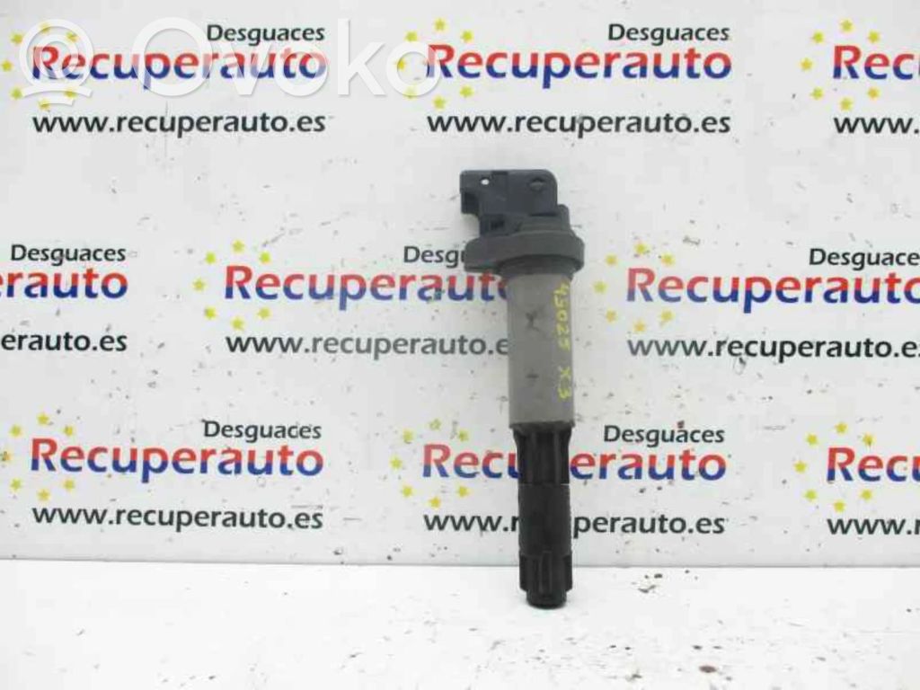 Aukštos įtampos ritė "babyna"   0221504100