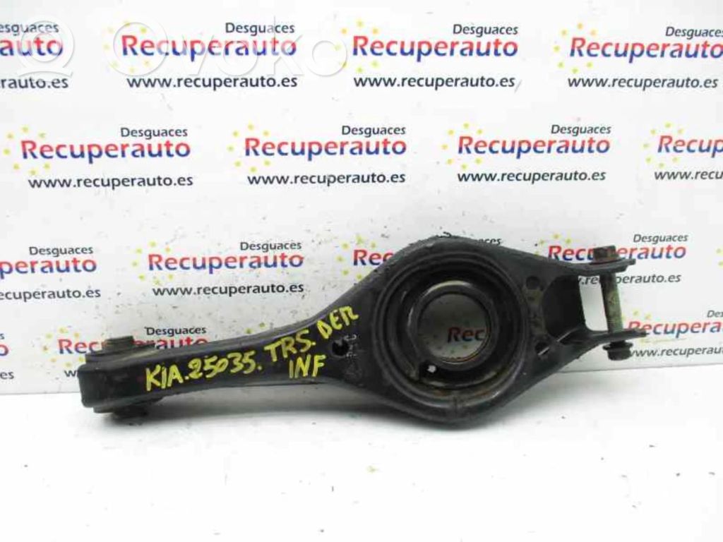 Brazo de suspensión trasero