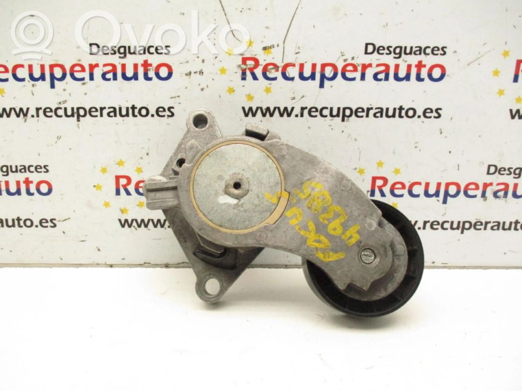 Tensor de correa del alternador   846143