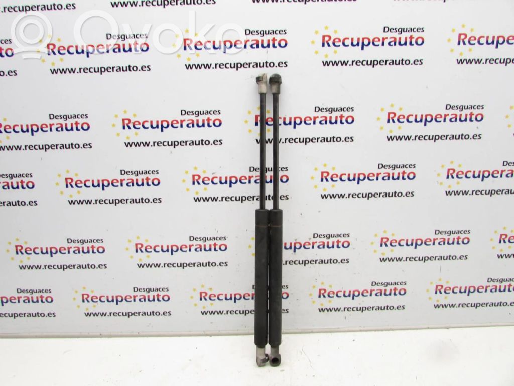 Tailgate/trunk strut/damper