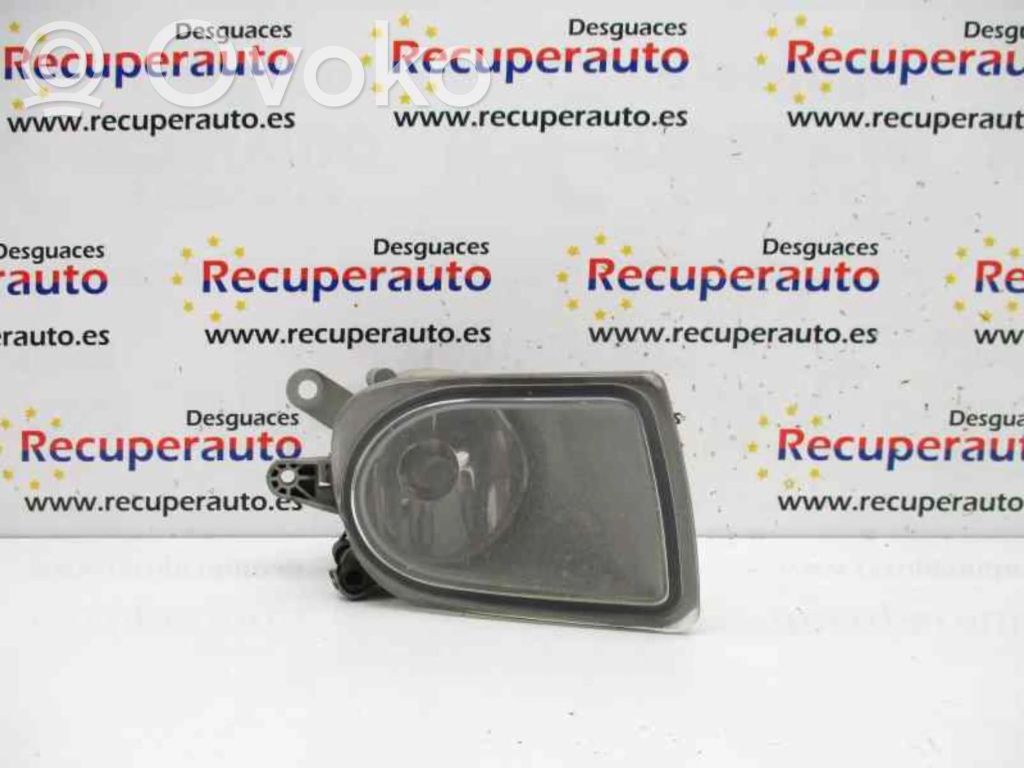 Luz de niebla delantera