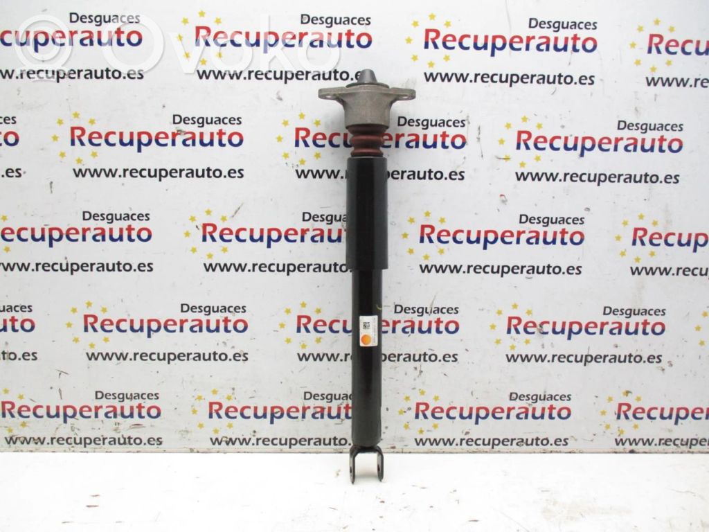 Stoßdämpfer hinten   55300A2050