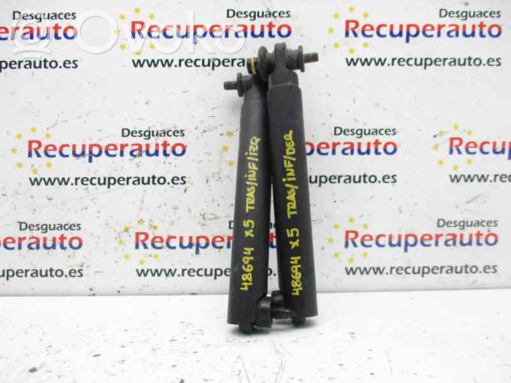 Tailgate/trunk strut/damper   714963106