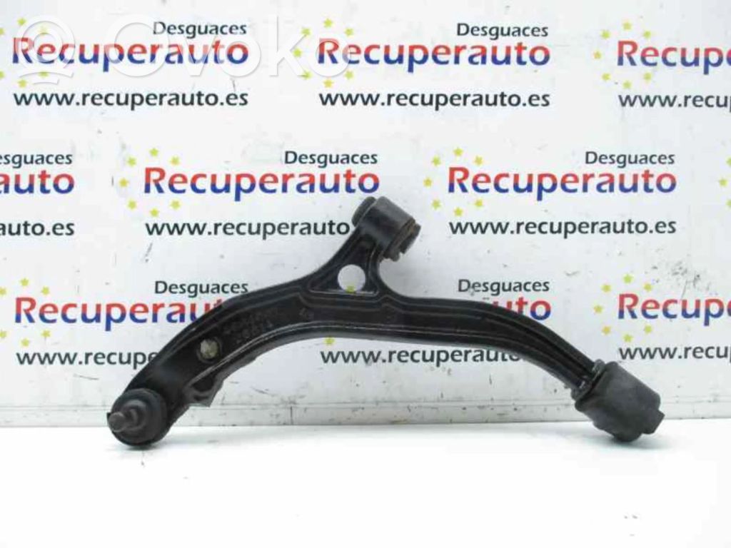 Front lower control arm/wishbone