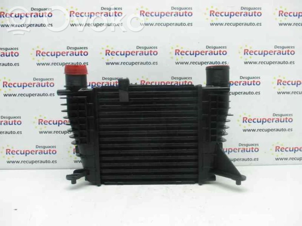 Intercooler radiator   8200170504D