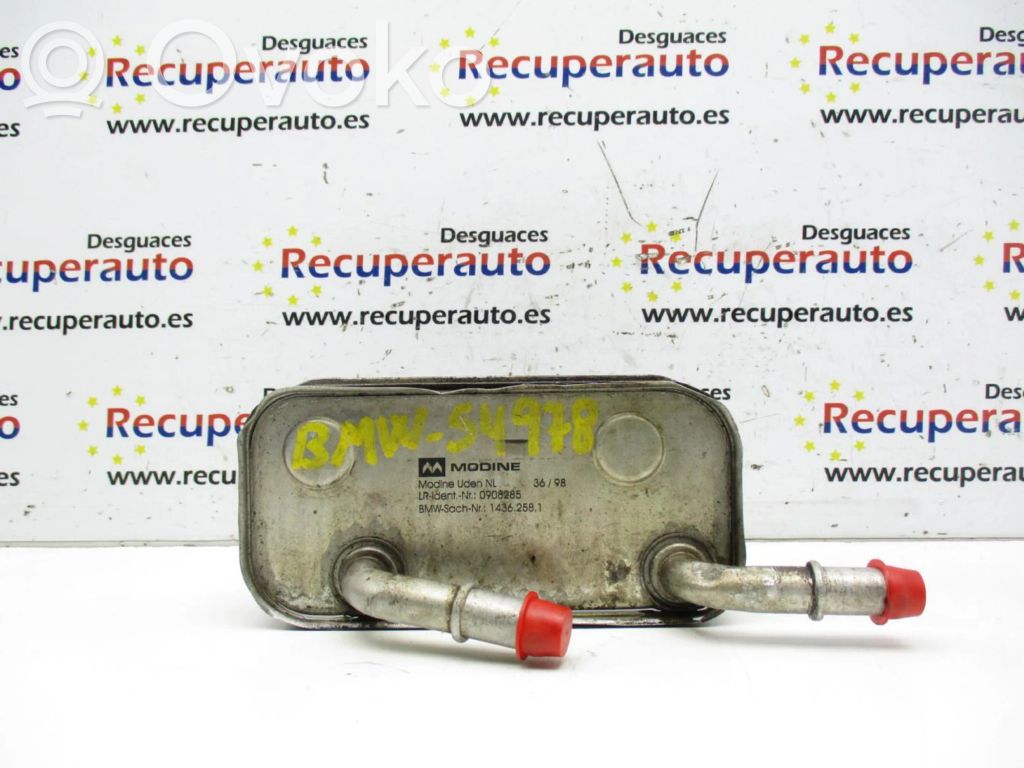 BMW 3 E46 Engine oil radiator 