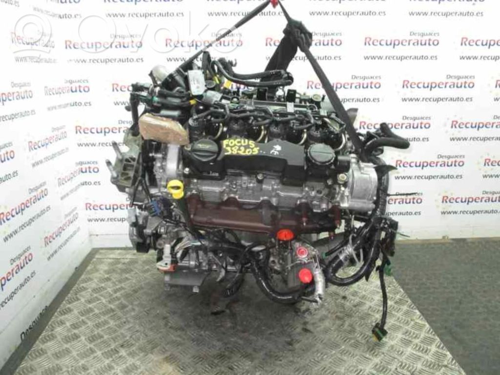Motor   G8DA