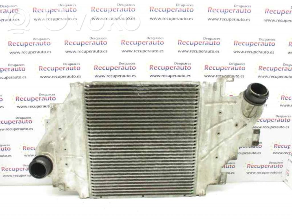 Radiador intercooler   8200252209