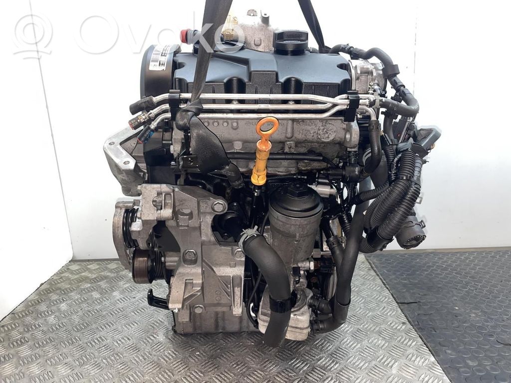 Seat Ibiza III (6L) Motore 