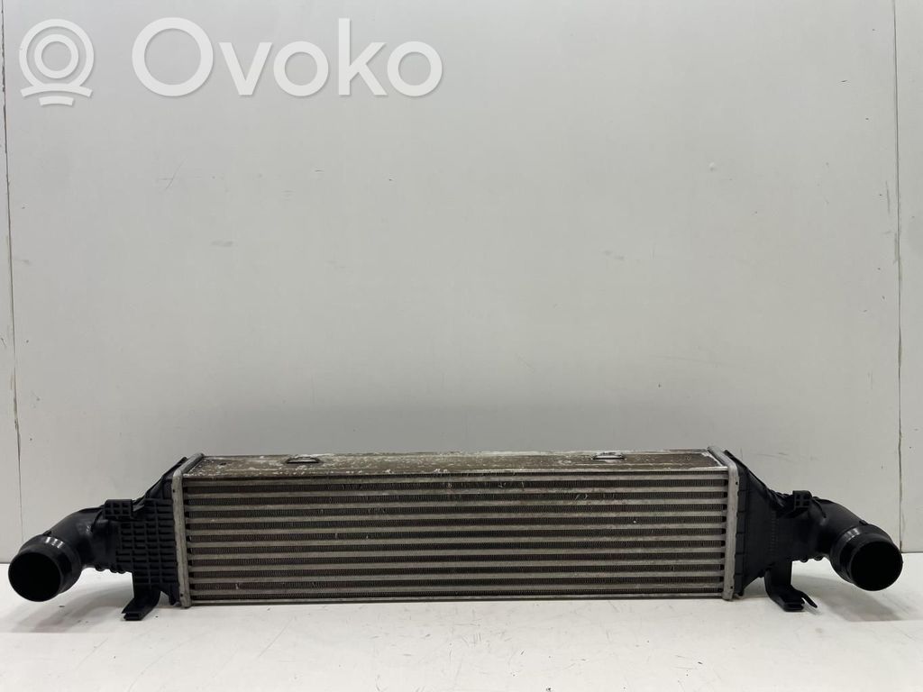 Mercedes-Benz CL C215 Radiator intercooler