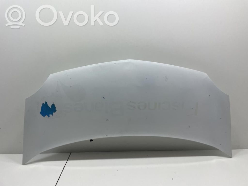 Engine bonnet/hood