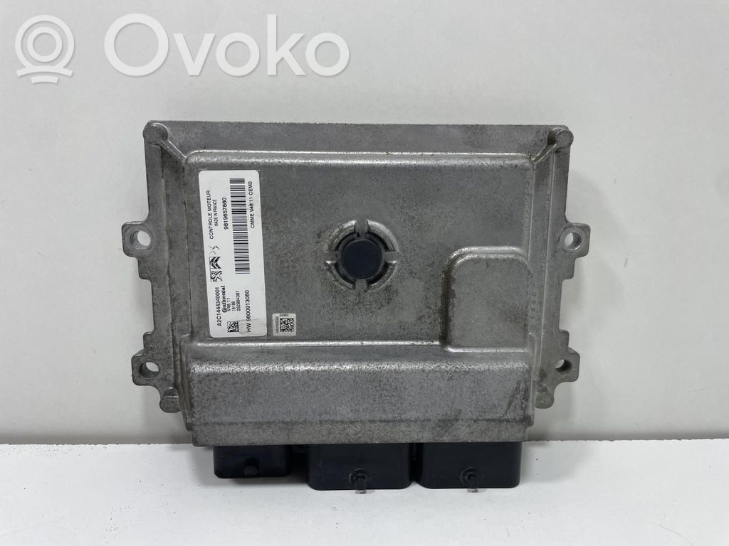Centralina/modulo motore ECU   9800913080