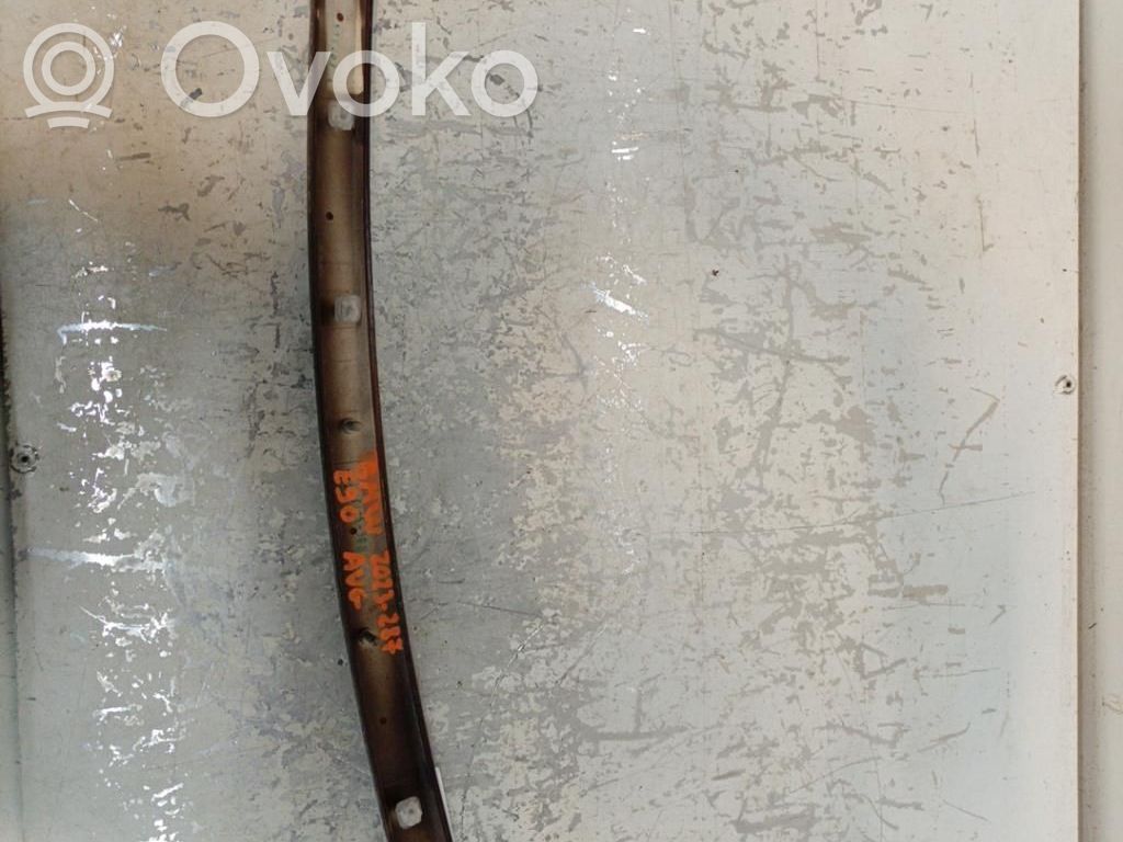 Front door trim (molding)