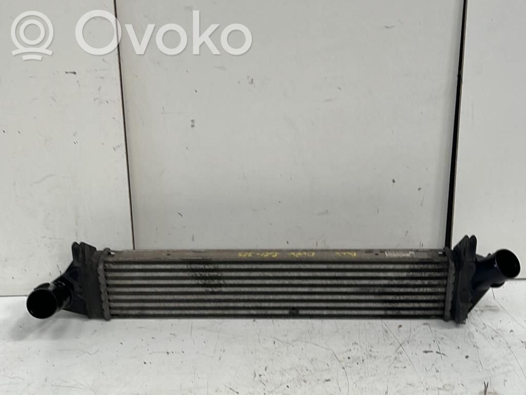 Interkūlerio radiatorius