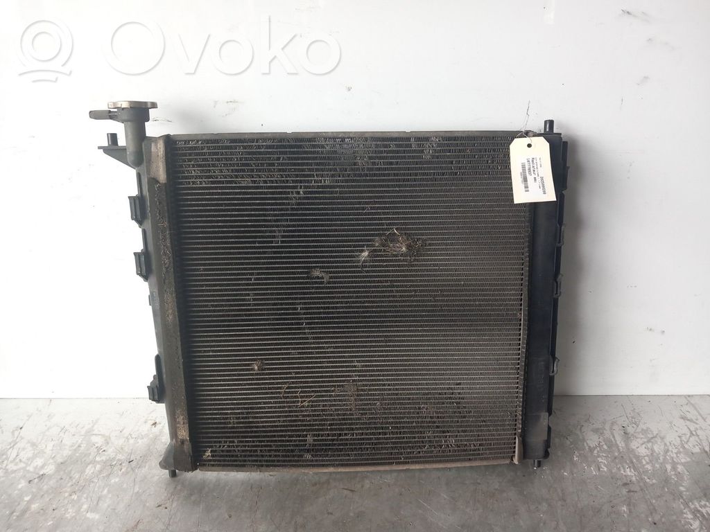 Wasserkühler   253102Y001