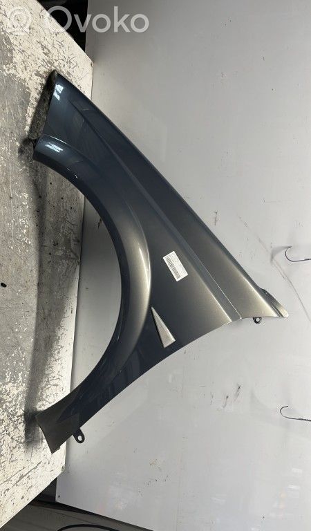 Renault Megane II Guardabarro 