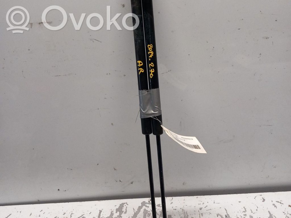 Renault Wind Tailgate/trunk strut/damper 